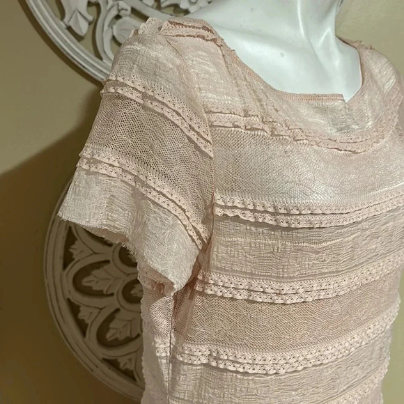 Sangria Dusty Pink Lace Dress Size16”A3 - Picture 4 of 8